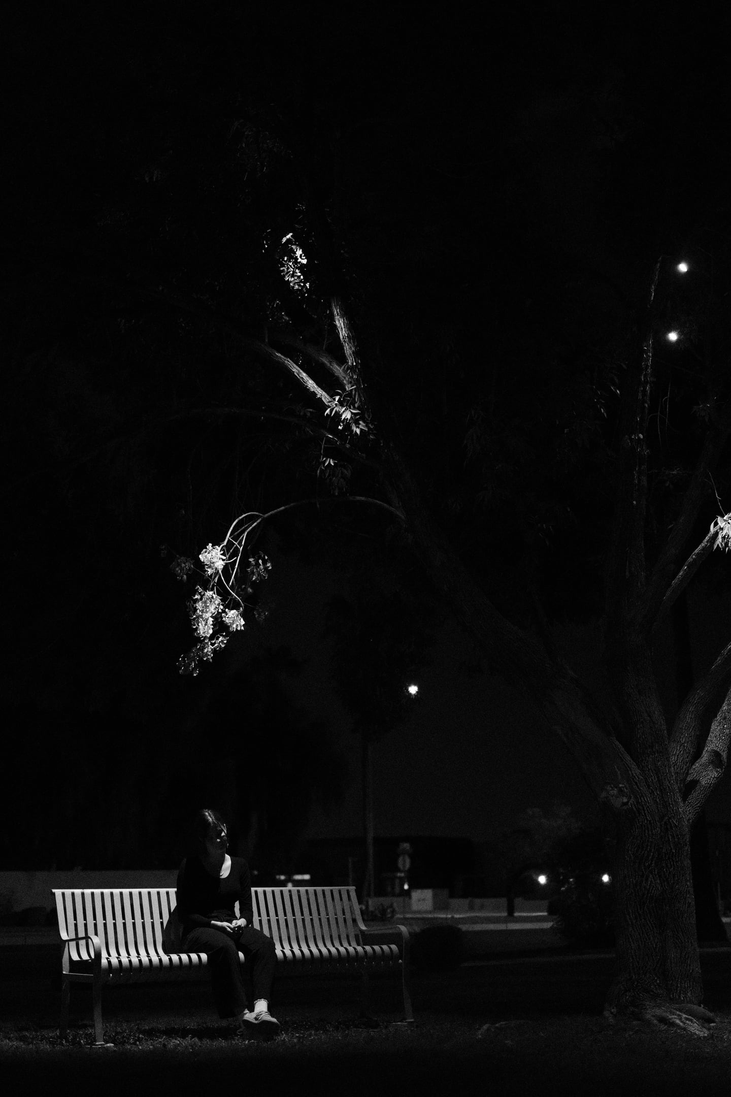 Frame 2234